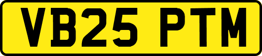VB25PTM