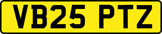 VB25PTZ