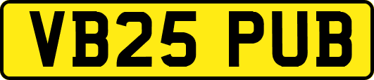 VB25PUB