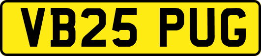 VB25PUG