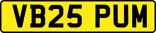 VB25PUM