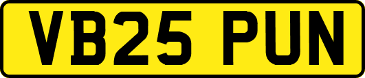 VB25PUN