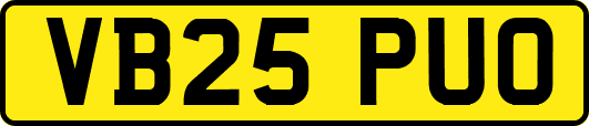 VB25PUO