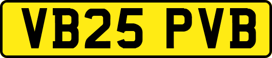 VB25PVB