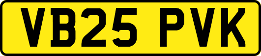 VB25PVK