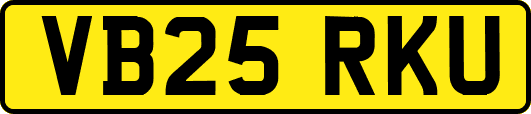 VB25RKU