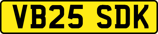 VB25SDK