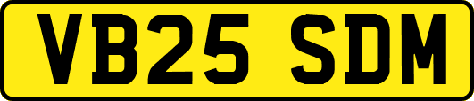 VB25SDM