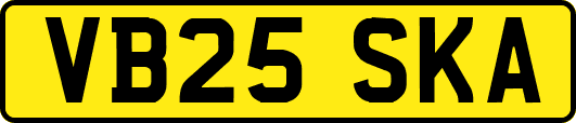 VB25SKA