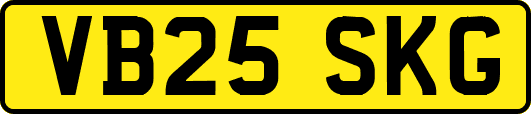VB25SKG