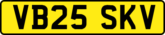 VB25SKV