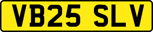 VB25SLV
