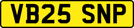 VB25SNP
