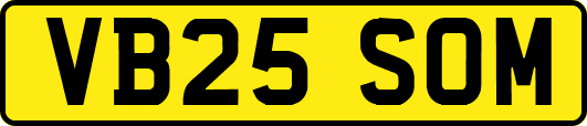VB25SOM