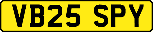 VB25SPY