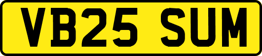 VB25SUM