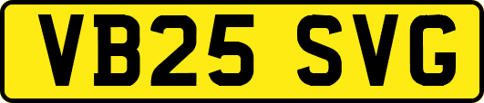 VB25SVG