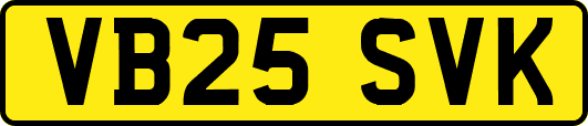 VB25SVK