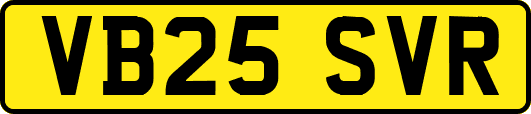 VB25SVR