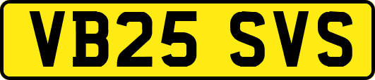 VB25SVS