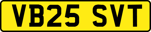 VB25SVT