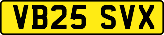 VB25SVX