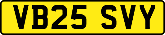 VB25SVY