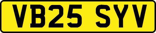 VB25SYV