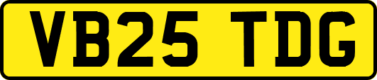 VB25TDG