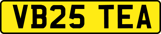 VB25TEA