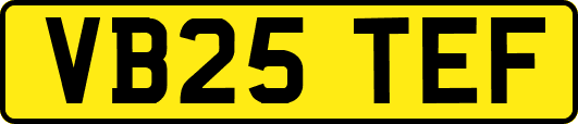 VB25TEF