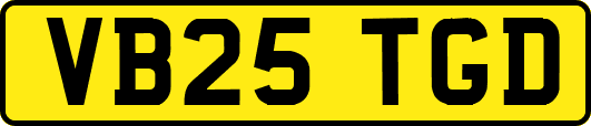 VB25TGD