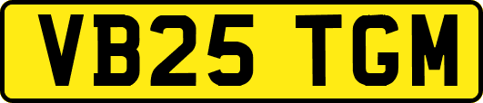 VB25TGM