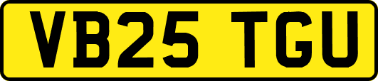 VB25TGU