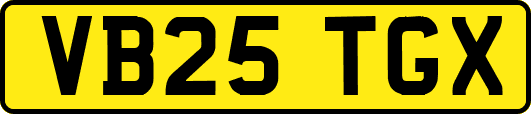 VB25TGX
