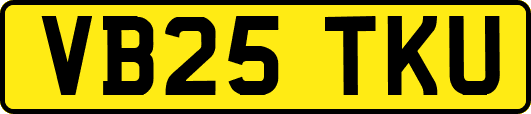 VB25TKU