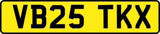 VB25TKX