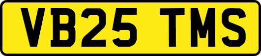 VB25TMS