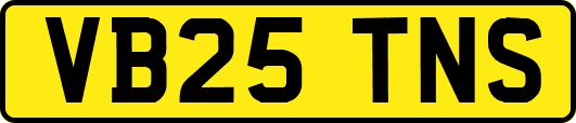 VB25TNS