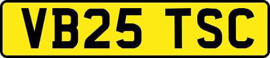 VB25TSC