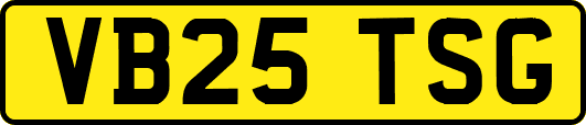 VB25TSG