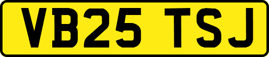 VB25TSJ