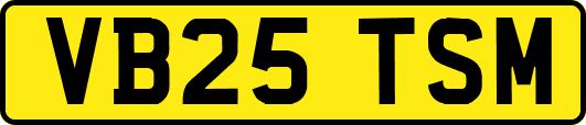 VB25TSM