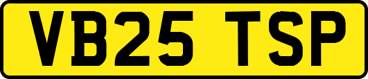 VB25TSP