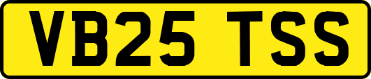 VB25TSS