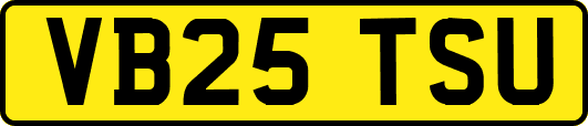 VB25TSU