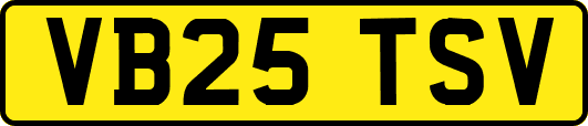 VB25TSV