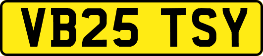 VB25TSY