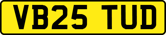 VB25TUD