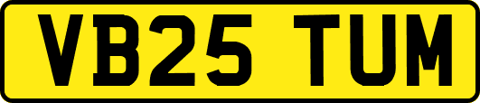 VB25TUM